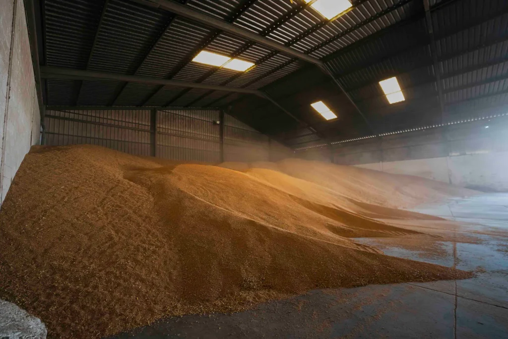 Montones de cereal almacenados en instalaciones de Grupo Boina