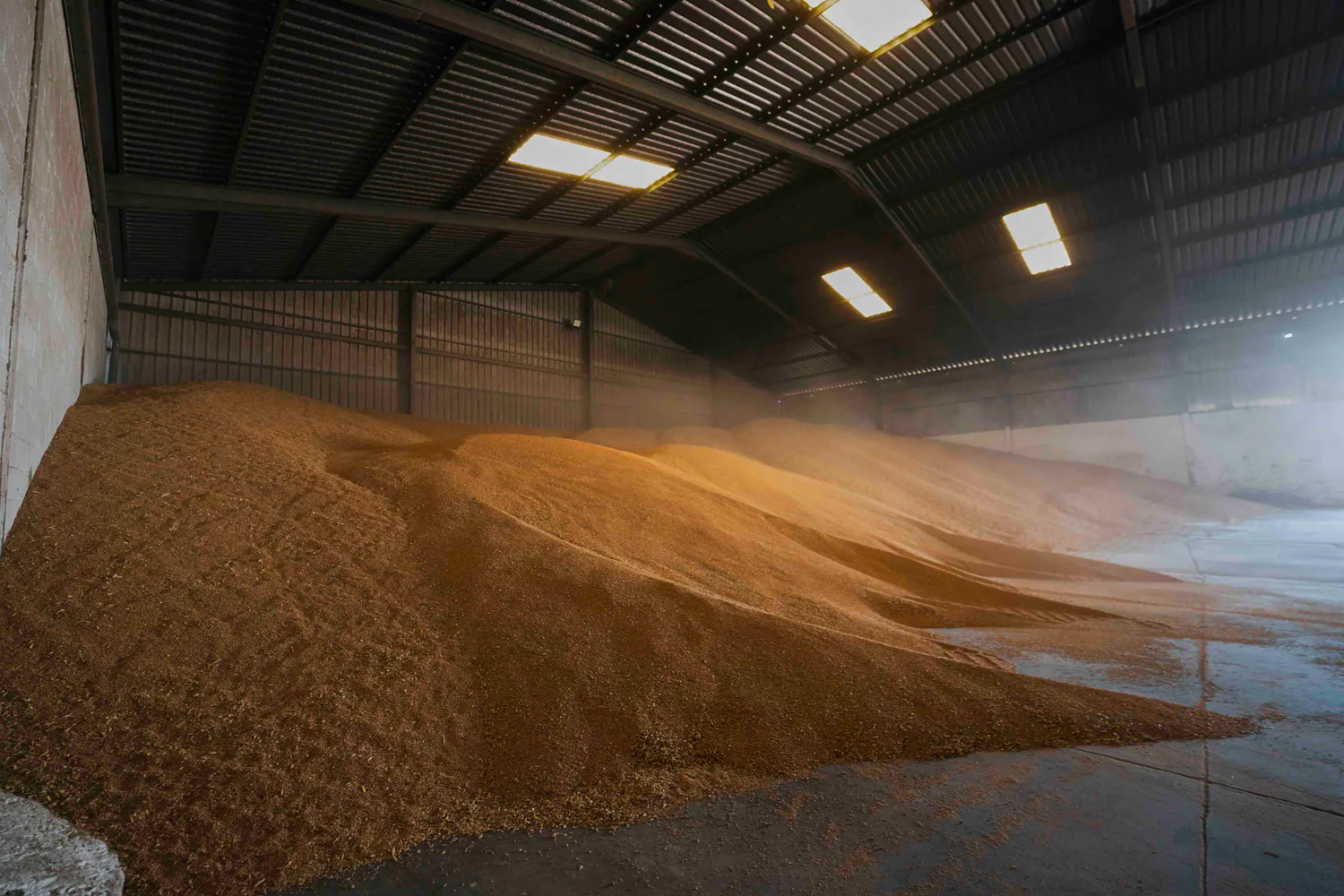 Montones de cereal almacenados en instalaciones de Grupo Boina