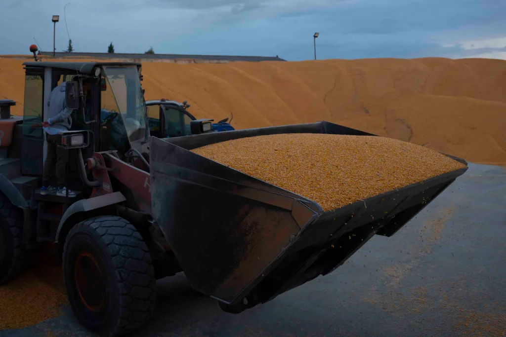 Recepción de cereal en instalaciones de Grupo Boina